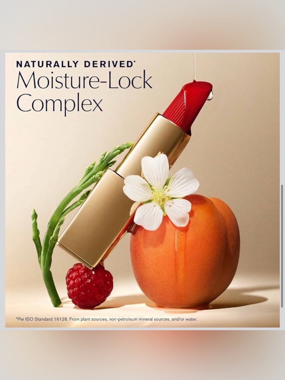 Estee Lauder Pure Color Matte Lipstick - Influential - Picture 9 of 10